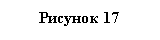 :  17