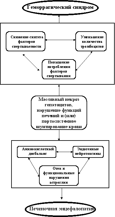 spnpatog.gif (7556 bytes)