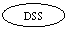 : DSS