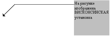 Выноска 3 (без границы): На рисунке
изображена
ВИСКОНСИНСКАЯ
установка