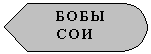 Блок-схема: дисплей: БОБЫ СОИ