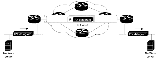 image6.gif (6553 bytes)