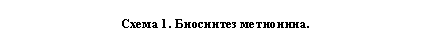 Подпись: Схема 1. Биосинтез метионина.