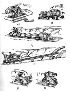 . 11.  :   ,      ,       ,    ,    ,     