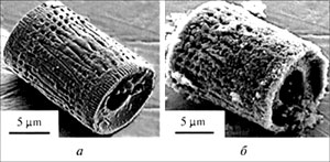 ��������: ��������� �� ������� TiO2 ��������� (�), ����������� ������ ��������� (�)