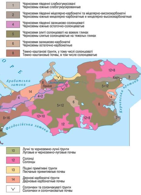 ��������: C:\Documents and Settings\������\��� ���������\��� �������\�����.jpg