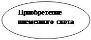 Овал: Приобретение племенного скота