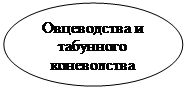 Овал: Овцеводства и табунного коневодства