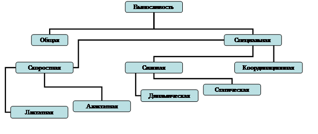 ������������� �������