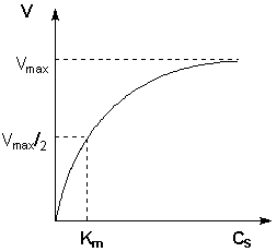 �������� �������������� �������