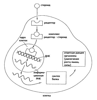 �������� ���������