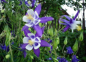 ���������