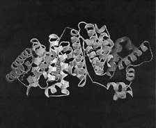 ���. 1. ��������� (����������������) ��������� ������������� ���������, ���������� �� 607 �������������� ��������