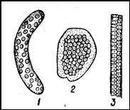 004.jpg (7365 bytes)