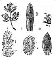 004.jpg (34268 bytes)