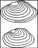 004.jpg (10801 bytes)