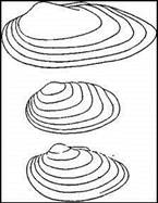 006.jpg (14742 bytes)