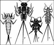 006.jpg (30175 bytes)