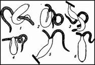 image002.jpg (13234 bytes)