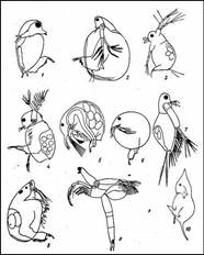 008.jpg (41778 bytes)