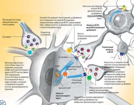 ��������� ��������� ������������ �� ������ ��������� ��������� �����, �� ��� ��� ����� ����������� ������ ����������� �������� � ����������� ����