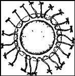 003.jpg (7859 bytes)