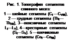 ϳ: . 1.    :
1    (I CVIII), 2    (ThIThXII), 3  LILV), 4  (SISV). 5   (CoICoIII)

