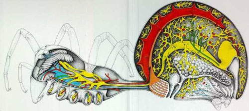 ���� � �������