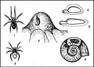 002.jpg (21547 bytes)