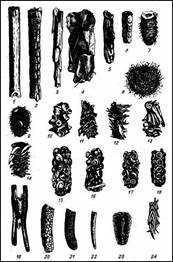 004.jpg (58488 bytes)