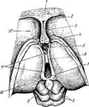 ��������: ������ ����.png