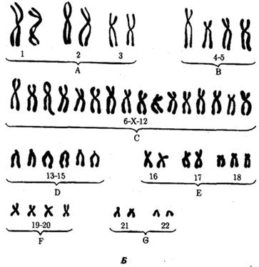 : C:\Documents and Settings\\ \  \\2.gif