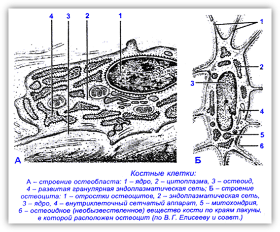 : C:\Documents and Settings\User\ \.gif