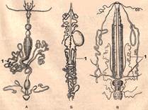  20.04.2008 22-46.bmp