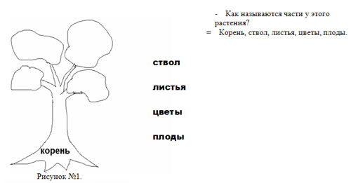 : http://festival.1september.ru/articles/524978/img3.jpg