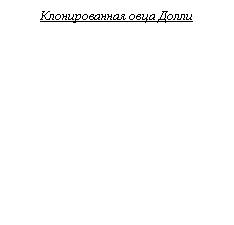 �������: ������������� ���� �����