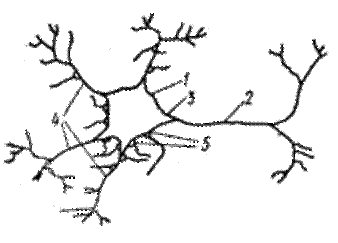 image001.png (4819 bytes)