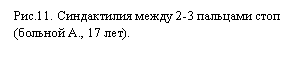 : .11.   2-3   ( ., 17 ).