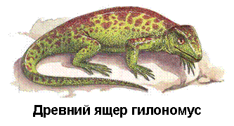 �������: 
������� ���� ���������
