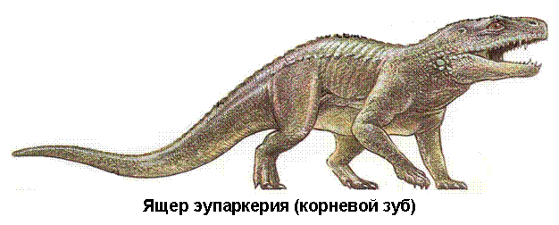 �������: 
���� ���������� (�������� ���)
