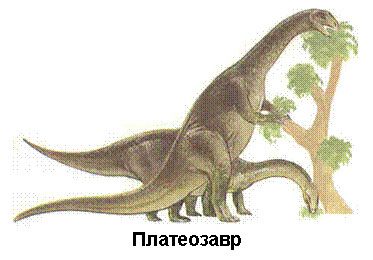 �������: 
����������
