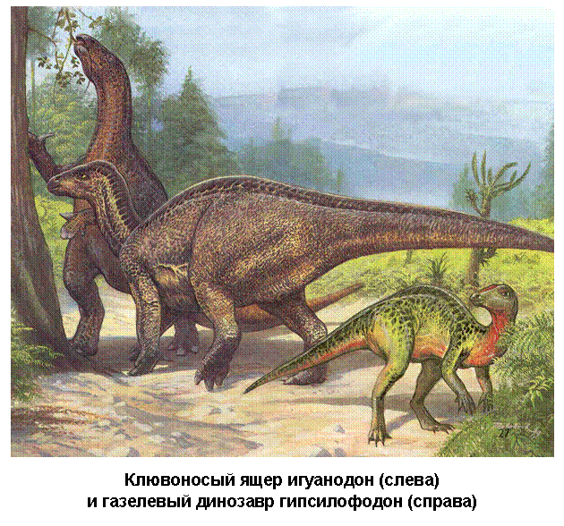 Реферат: Динозавры