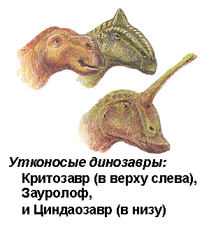 �������: 
��������� ���������:
��������� (� ����� �����), ��������,
� ���������� (� ����)
