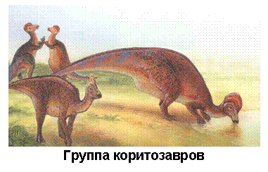 �������: 
������ ������������
