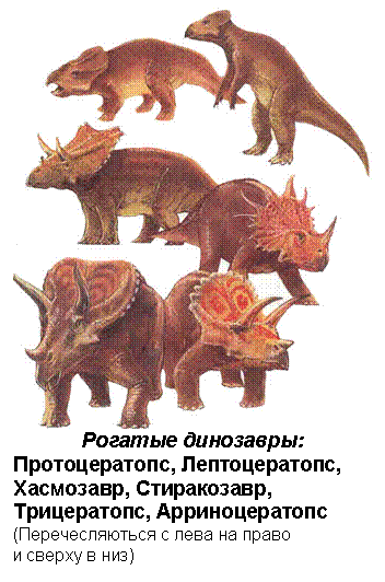 �������: 
������� ���������:
�������������, �������������, ���������, �����������, �����������, ��������������
(�������������� � ���� �� �����
� ������ � ���)
