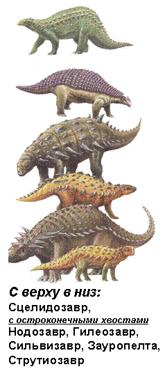 �������: 
� ����� � ���:
�����������,
� �������������� ��������
��������, ���������, ����������, ����������, �����������
