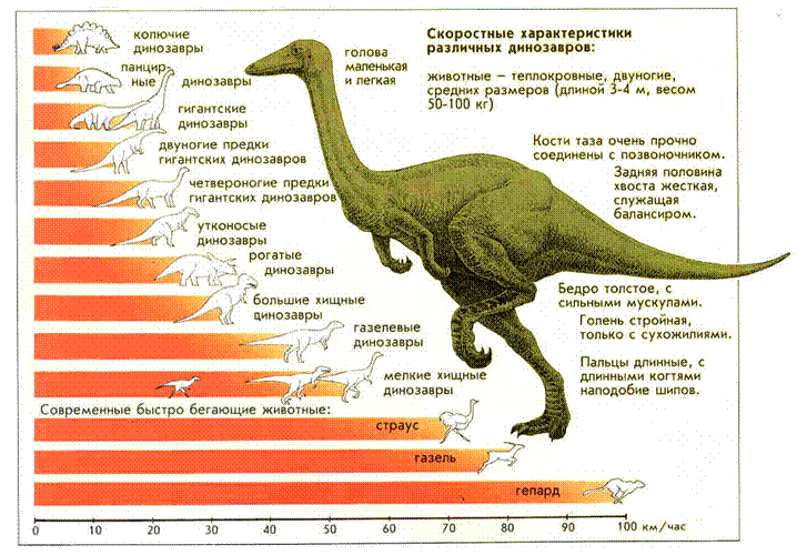 �������: 