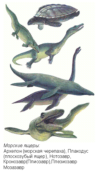 �������: 
������� �����:
������� (������� ��������), �������� (����������� ����), ��������, ���������(��������),���������� ��������
