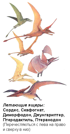 �������: 
�������� �����:
������, ���������, ����������, ������������, ������������, ����������
(�������������� � ���� �� �����
� ������ � ���)
