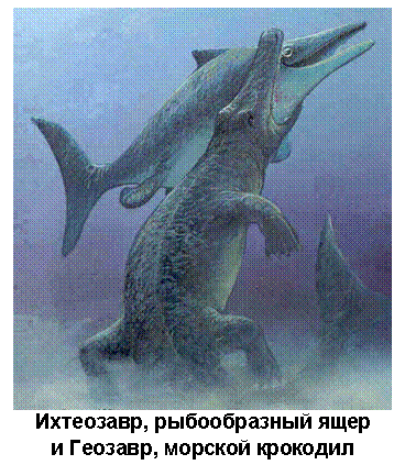 �������: 
���������, ������������ ����
� �������, ������� ��������
